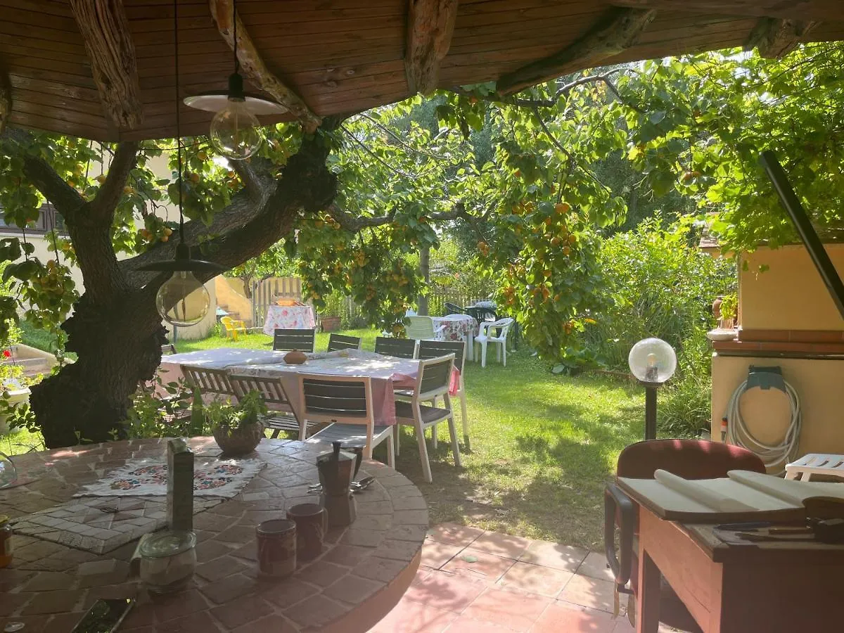 Homestay La Chiave Di Violino Apartment Olbia