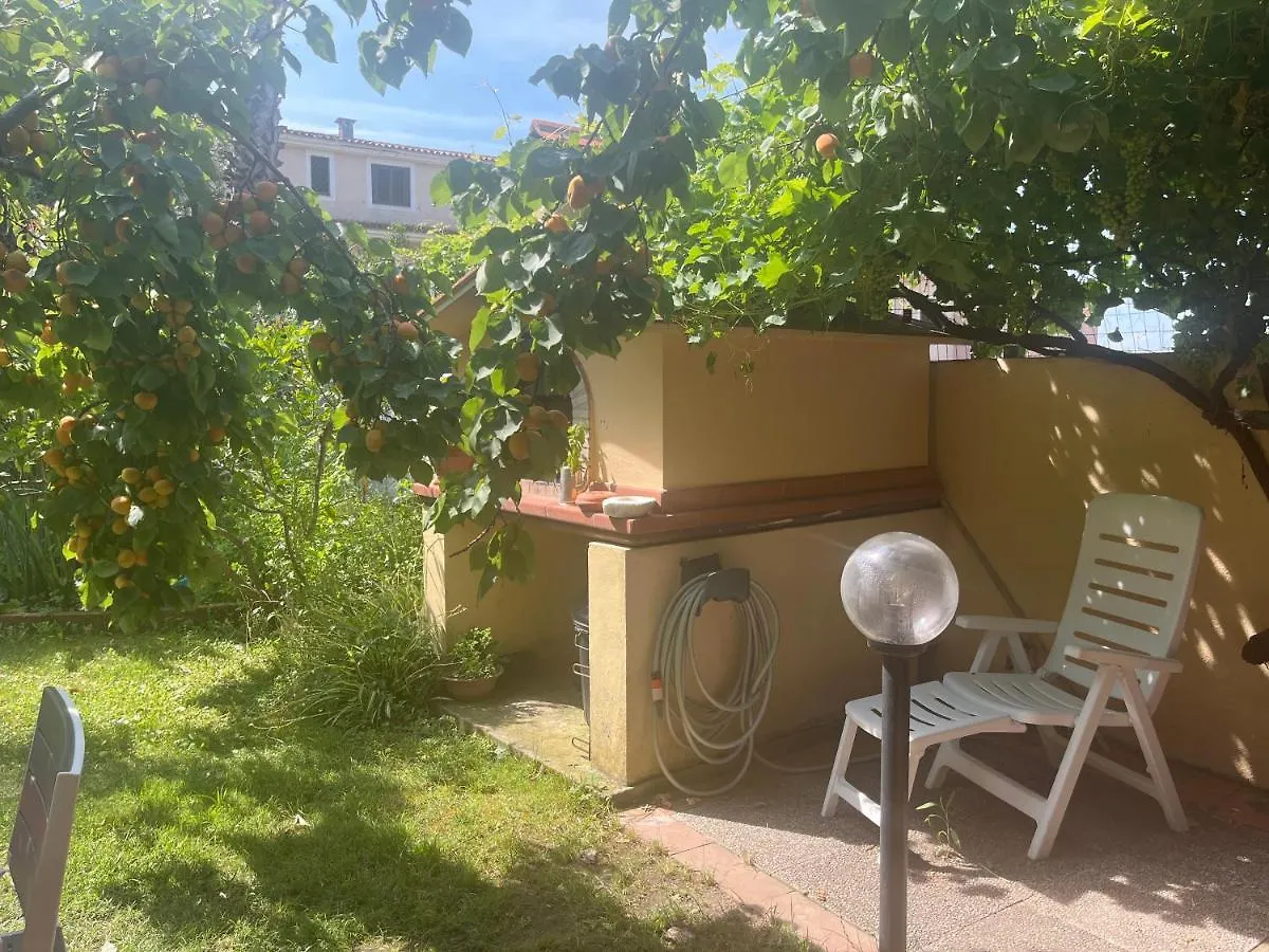 La Chiave Di Violino Apartment Olbia