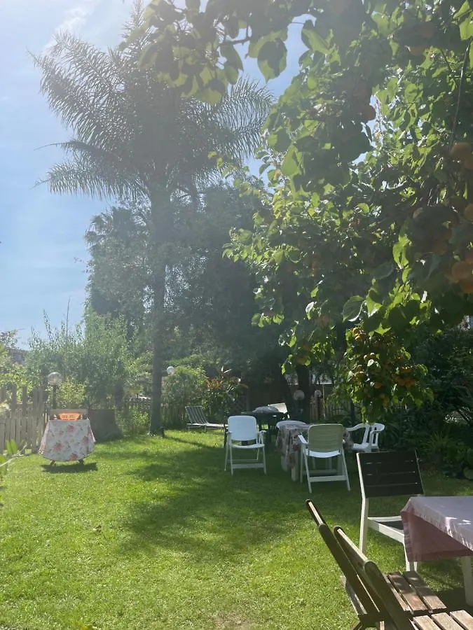 La Chiave Di Violino Apartment Olbia