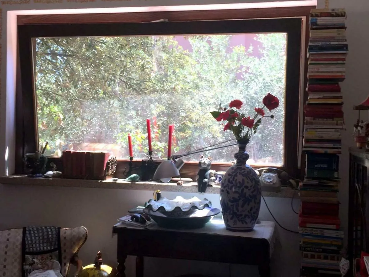 Homestay La Chiave Di Violino Apartment Olbia Italy